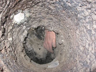 large pic